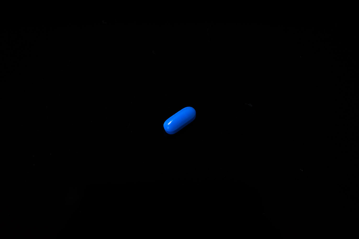 PTFE回転子 カラーマイクロ型(アルニコ) 青 直径×全長(mm)：2×5