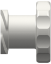 Female Luer Thread Style Cap White Nylon