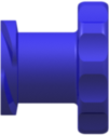 Female Luer Thread Style Cap Blue Nylon