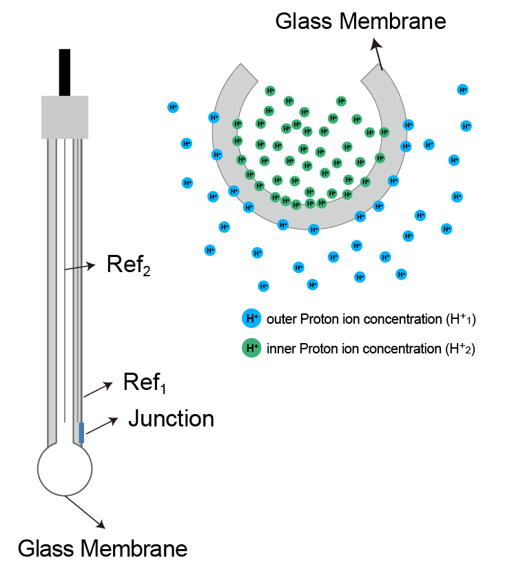 Glass membrane.jpg