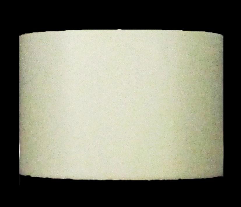 パステルカラーテープ (幅25mm×5ｍ) 色:ホワイト